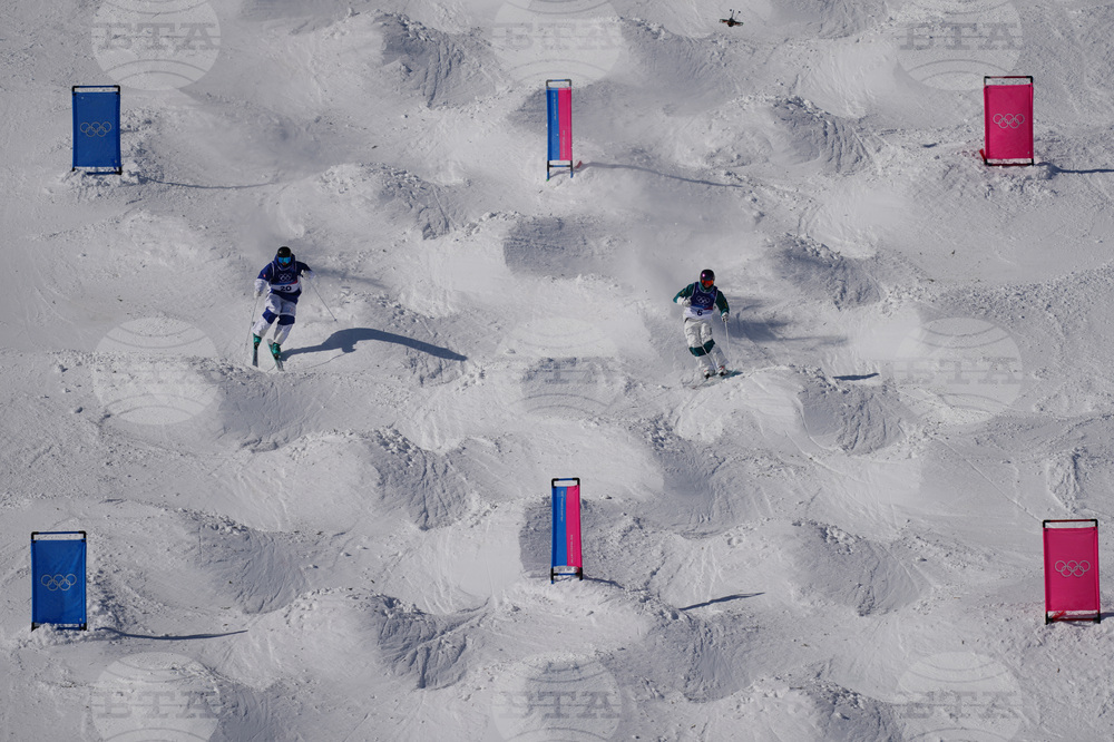 Milan Cortina Olympics Freestyle Skiing