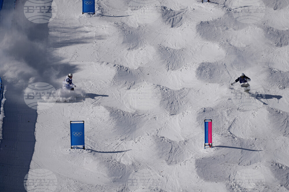 Milan Cortina Olympics Freestyle Skiing