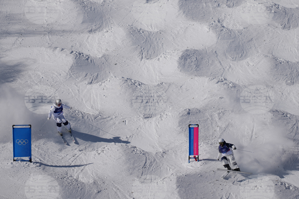 Milan Cortina Olympics Freestyle Skiing