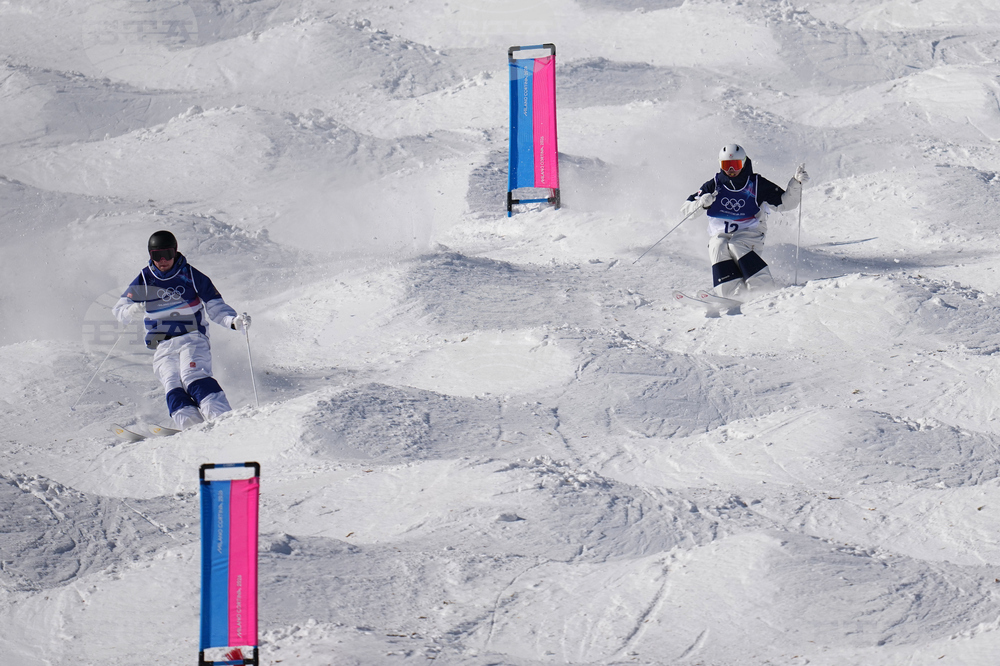 Milan Cortina Olympics Freestyle Skiing