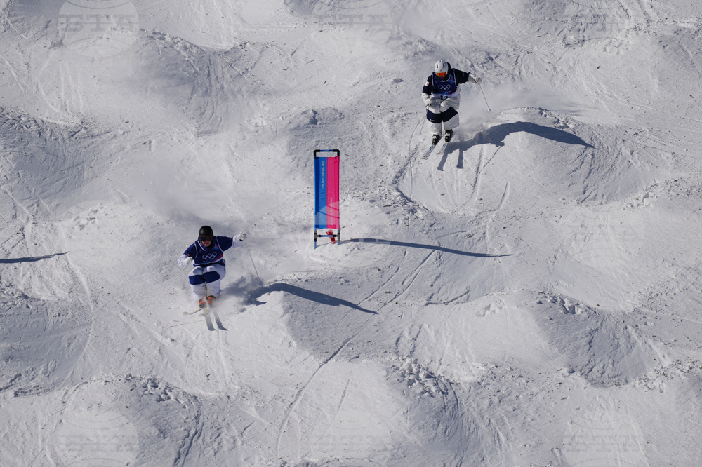 Milan Cortina Olympics Freestyle Skiing