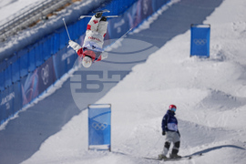 Milan Cortina Olympics Freestyle Skiing