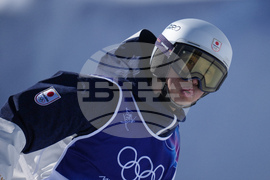 Milan Cortina Olympics Freestyle Skiing