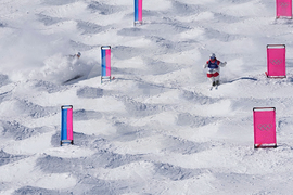 Milan Cortina Olympics Freestyle Skiing