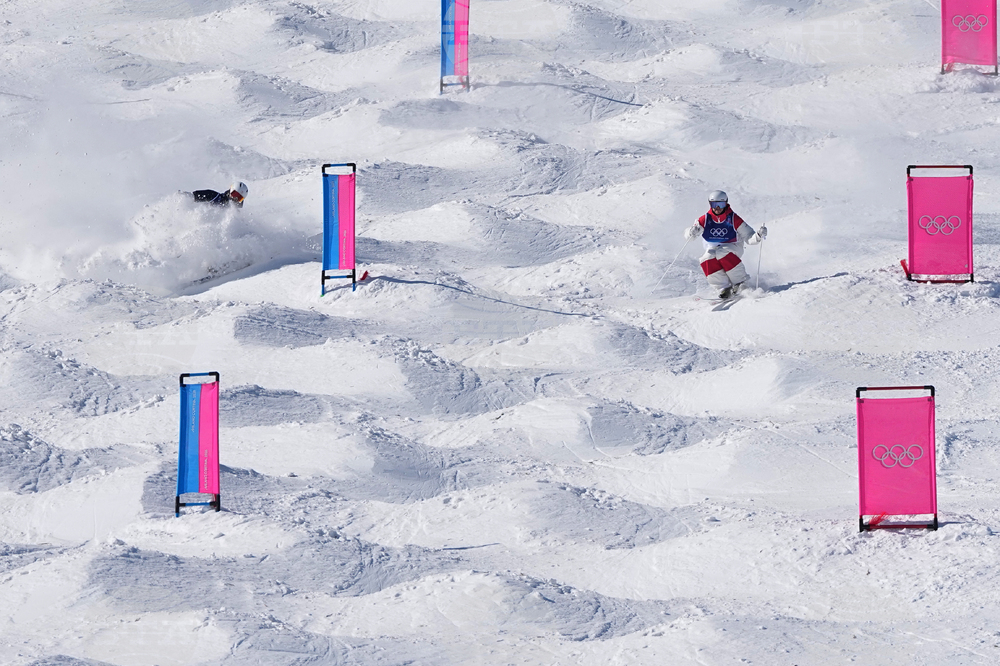 Milan Cortina Olympics Freestyle Skiing