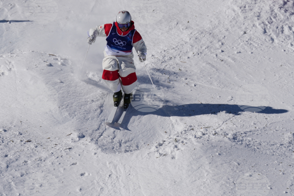 Milan Cortina Olympics Freestyle Skiing