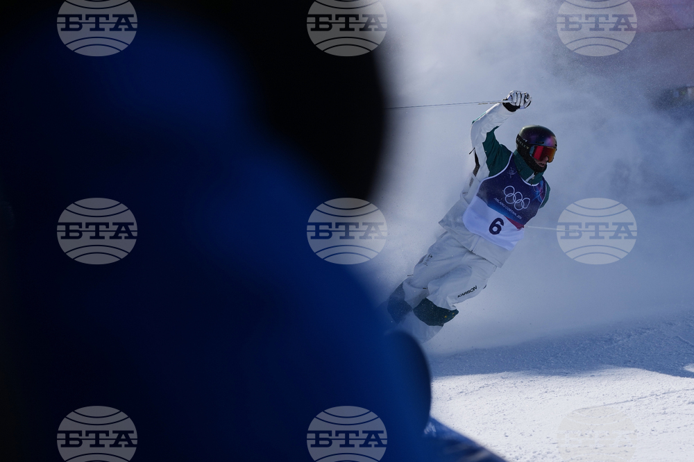 Milan Cortina Olympics Freestyle Skiing
