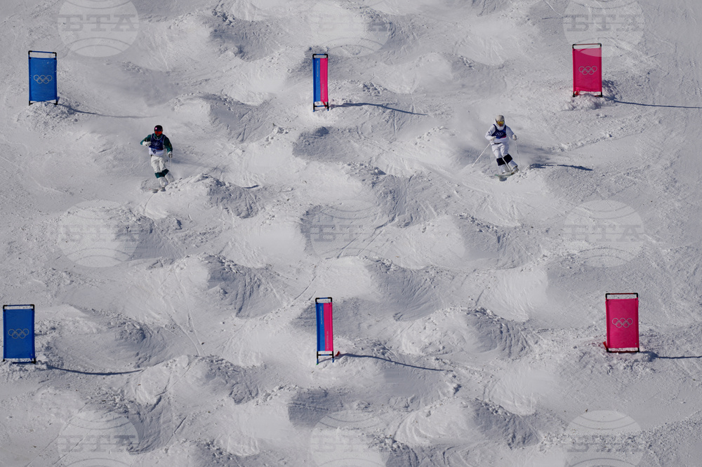 Milan Cortina Olympics Freestyle Skiing