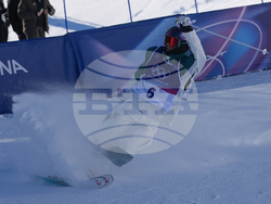 Milan Cortina Olympics Freestyle Skiing