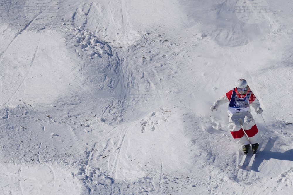 Milan Cortina Olympics Freestyle Skiing