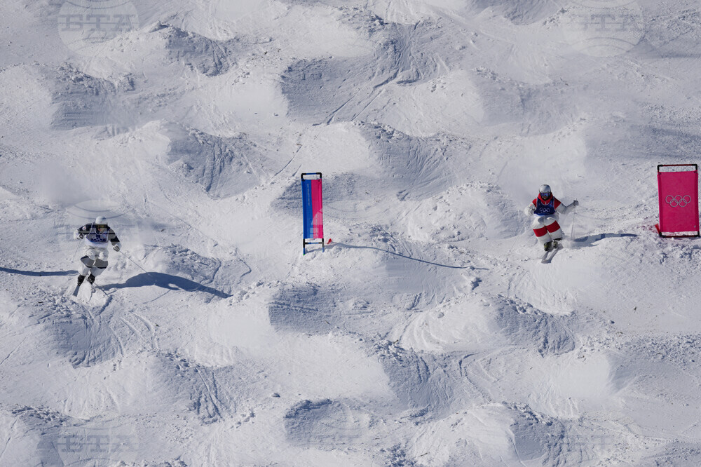 Milan Cortina Olympics Freestyle Skiing