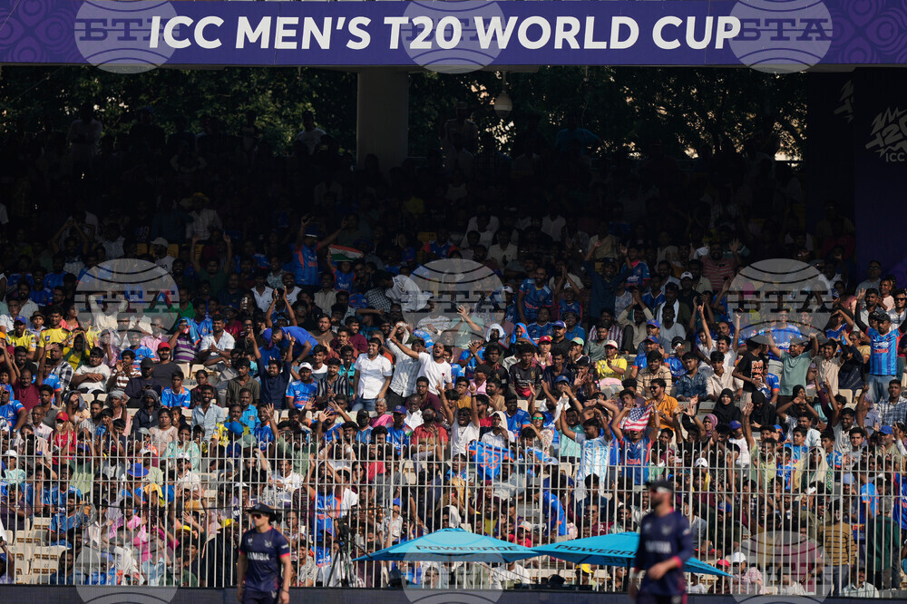 Namibia USA T20 WCup Cricket