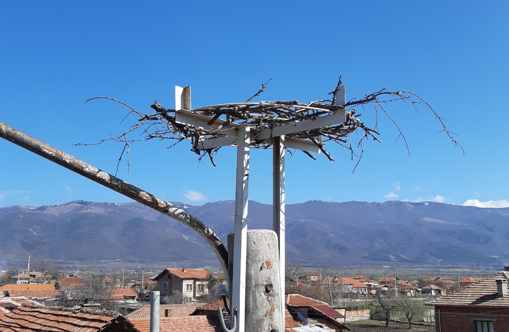 Електроразпределение Юг монтира 324 нови платформи за щъркелови гнезда 