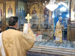 Дупница - патриарх Даниил - литургия