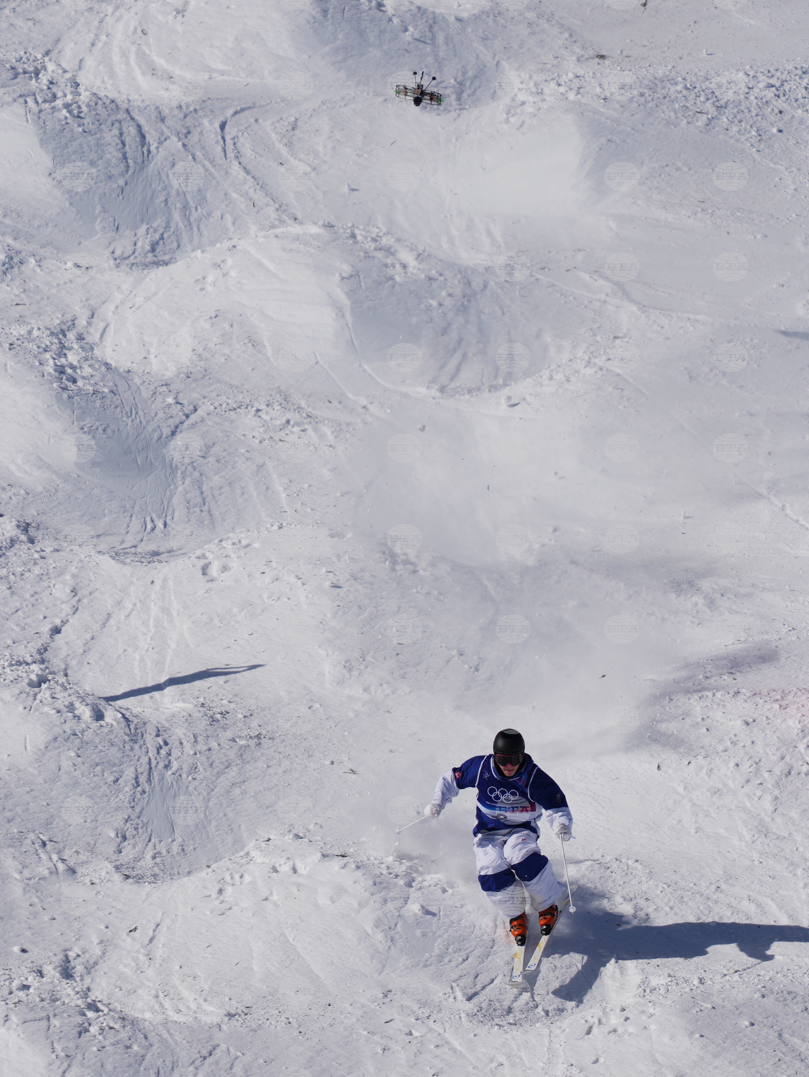 Milan Cortina Olympics Freestyle Skiing