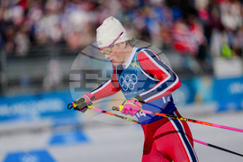 Milan Cortina Olympics Cross Country