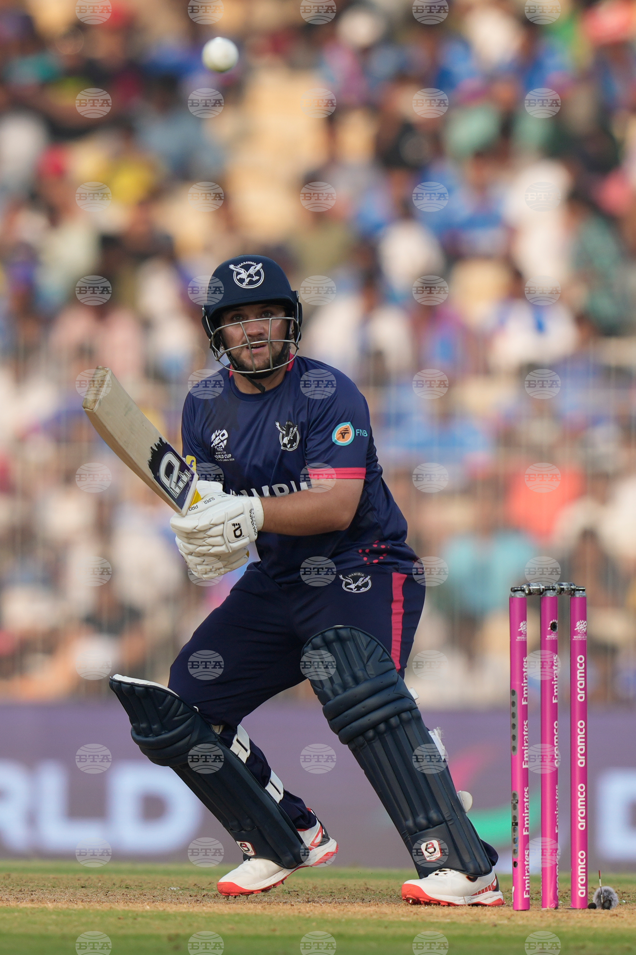 Namibia USA T20 WCup Cricket