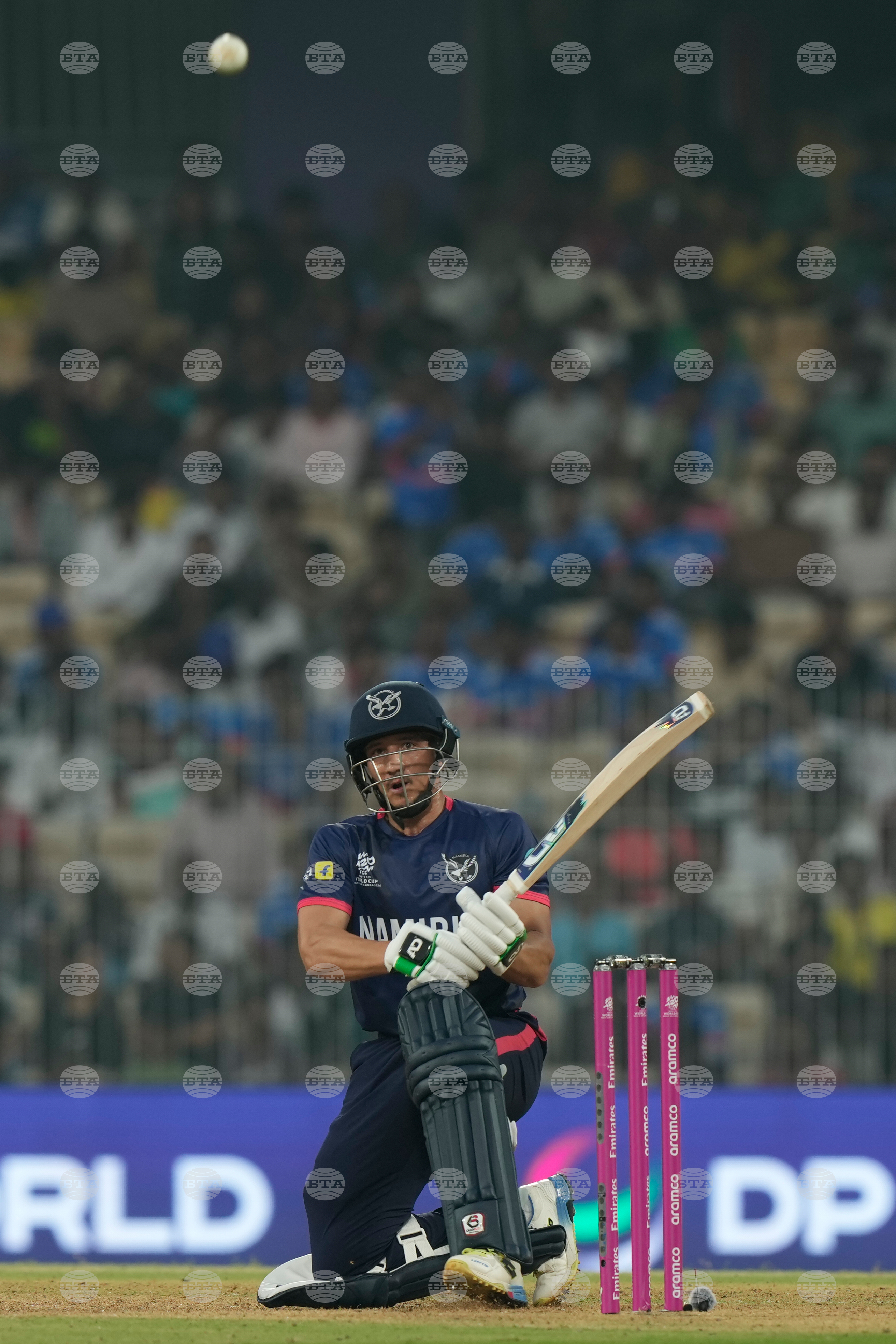 Namibia USA T20 WCup Cricket