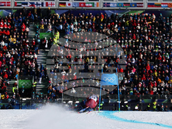 Milan Cortina Olympics Alpine Skiing