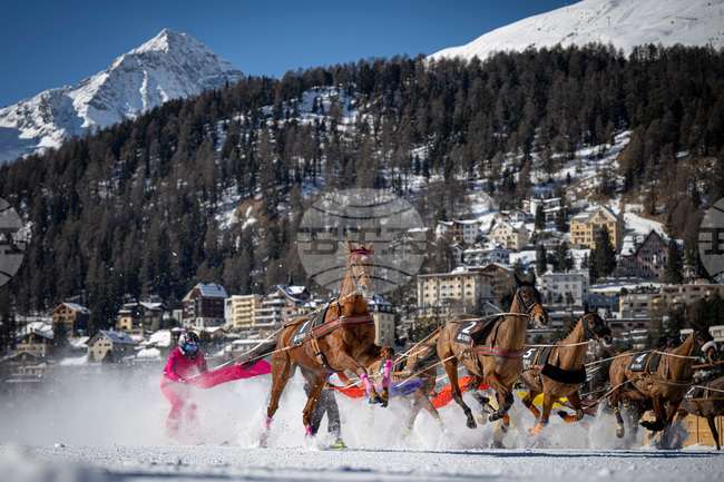 Switzerland White Turf Races