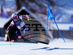 Milan Cortina Olympics Alpine Skiing