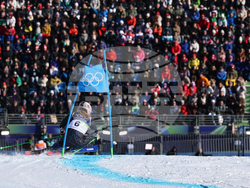 Milan Cortina Olympics Alpine Skiing