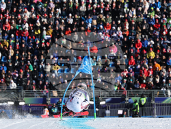 Milan Cortina Olympics Alpine Skiing