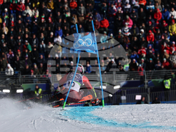 Milan Cortina Olympics Alpine Skiing