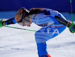 Milan Cortina Olympics Alpine Skiing