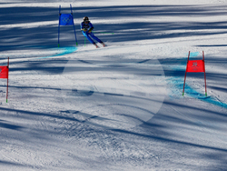 Milan Cortina Olympics Alpine Skiing
