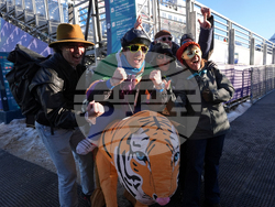 Milan Cortina Olympics Alpine Skiing