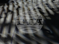 Milan Cortina Olympics Speedskating