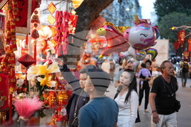 Vietnam Lunar New Year