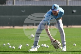 Brewers Spring Baseball