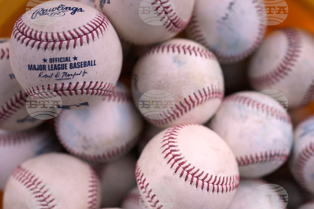 Brewers Spring Baseball