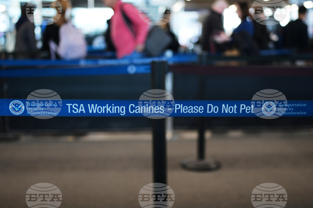 Homeland Security Air Travel