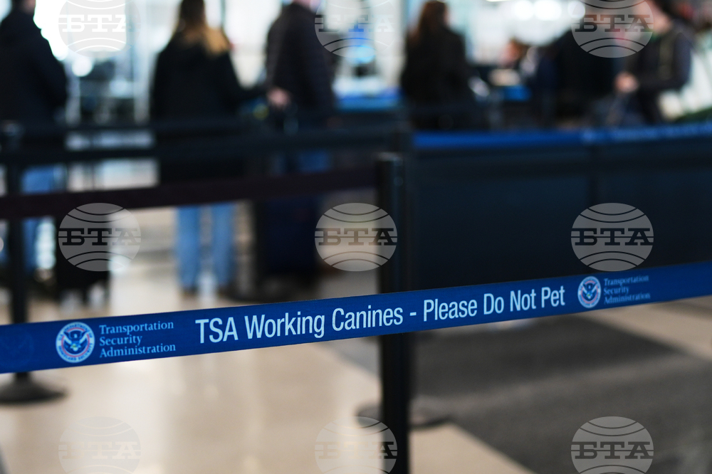 Homeland Security Air Travel