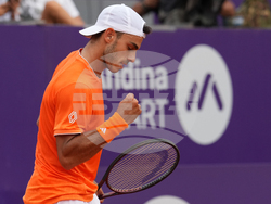 Argentina Open ATP Tennis
