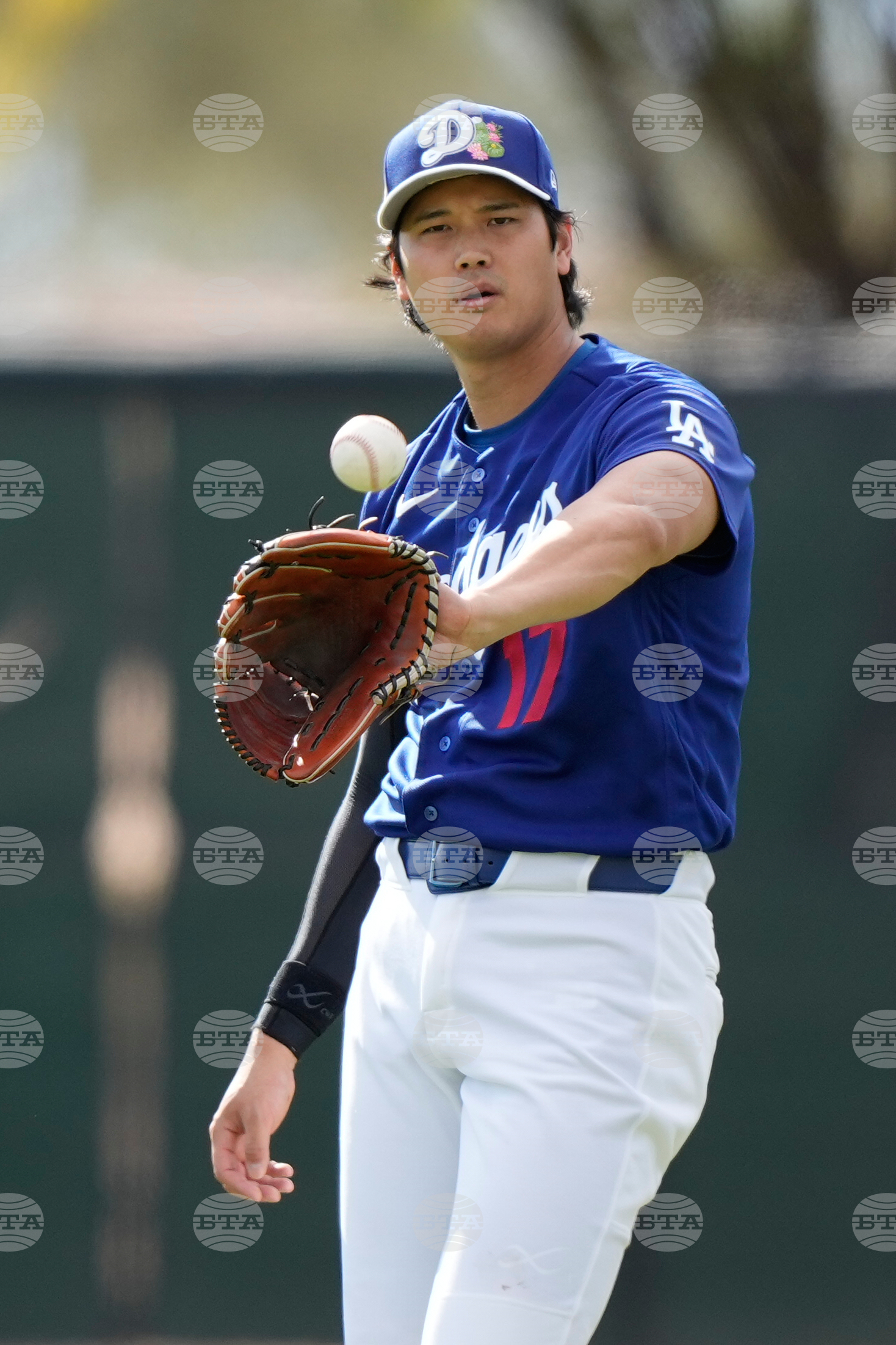 Dodgers Spring Baseball