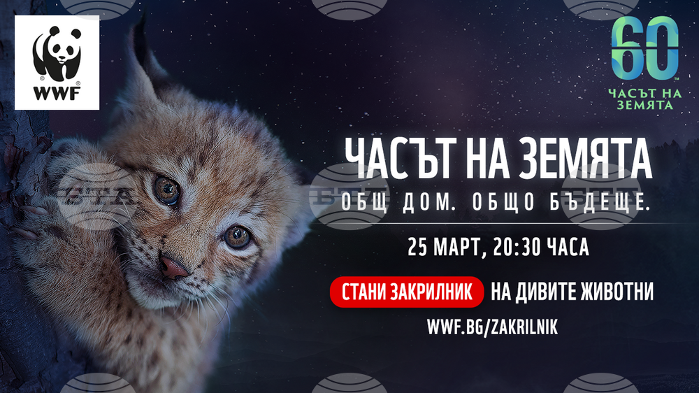 Община Видин се присъединява към 17-ото издание на природозащитната инициатива „Часът на Земята“