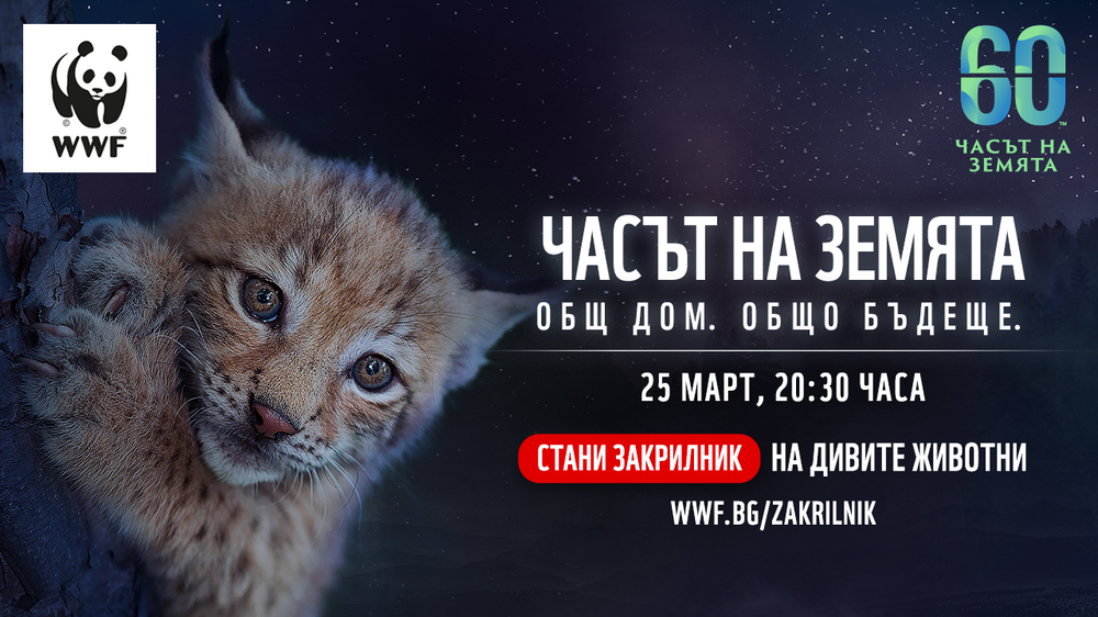 Община Видин се присъединява към 17-ото издание на природозащитната инициатива „Часът на Земята“