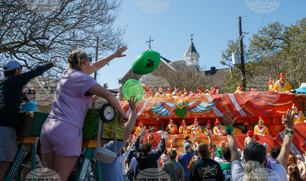 New Orleans Mardi Gras Parade