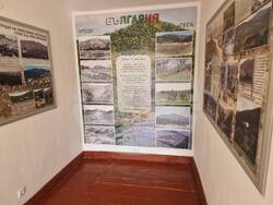 Снимка: Изпълнителна агенция по горите