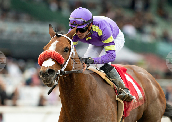 Santa Anita Horse Racing