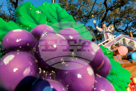 New Orleans Mardi Gras Parade