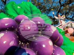 New Orleans Mardi Gras Parade