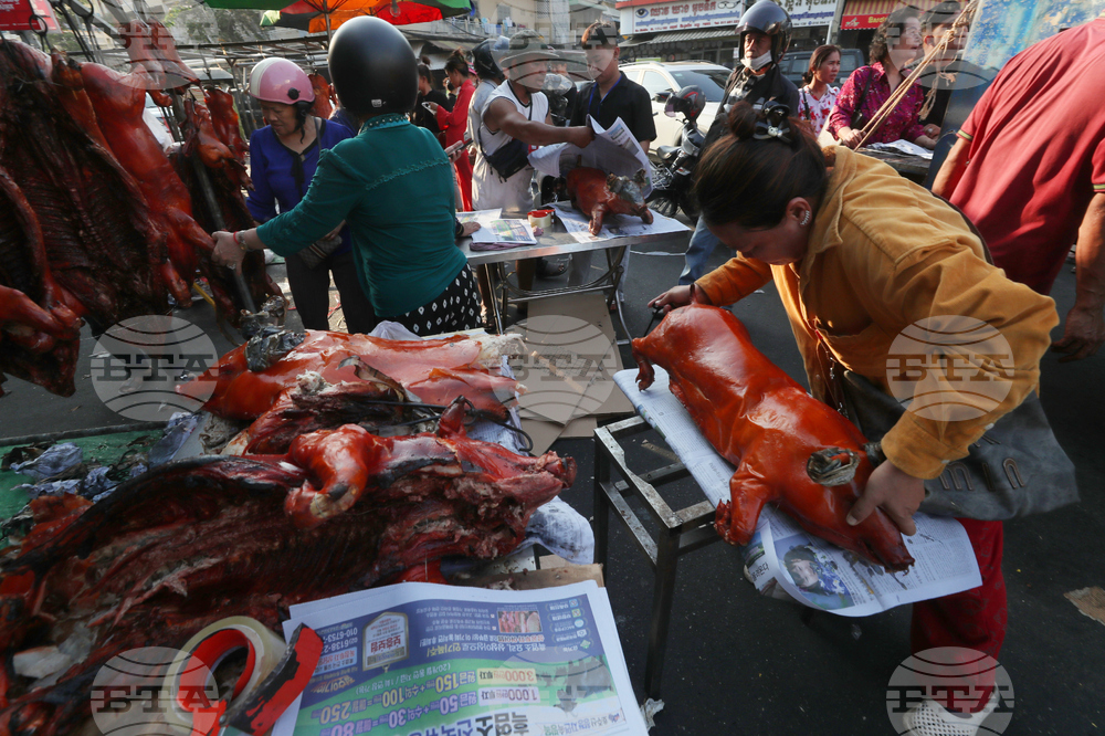 Cambodia Lunar New Year