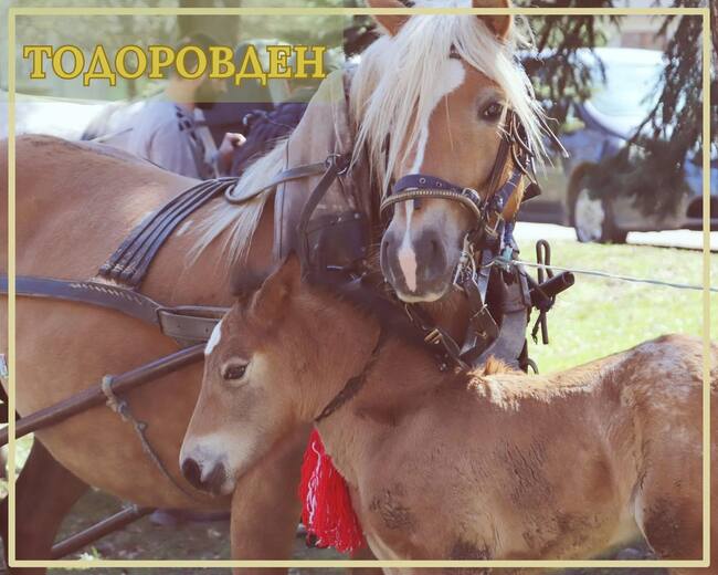 Община Банско: Банско посреща Тодоровден с празнично настроение и живи традиции