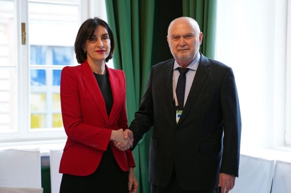 ГПБ: Грузинската външна министърка се срещна с генералния секретар на ОССЕ