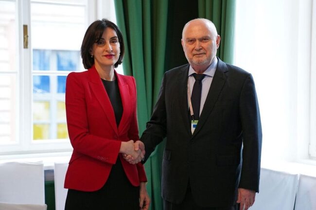 ГПБ: Грузинската външна министърка се срещна с генералния секретар на ОССЕ